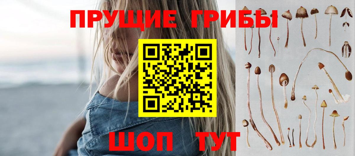 хочу наркоту  Псилоцибиновые грибы прущие грибы  Вход с VPN  Мурино 