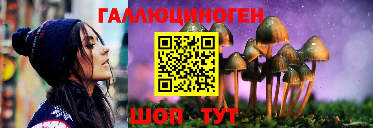 Галлюциногенные грибы Cubensis Мурино