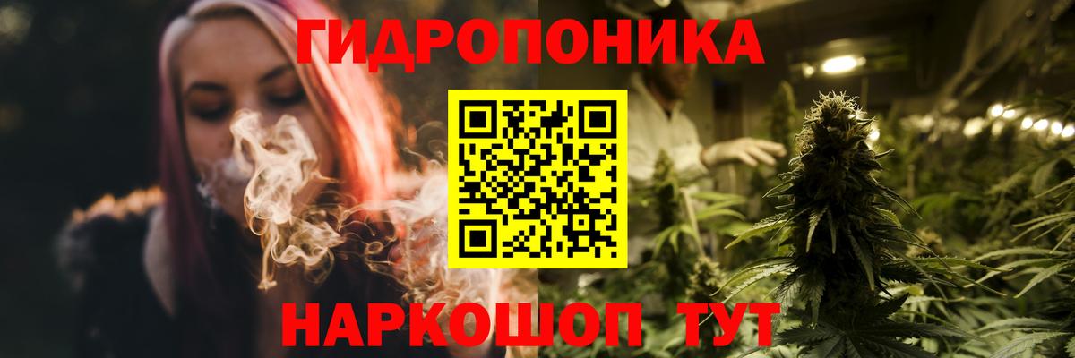 Мурино  МАРИХУАНА OG Kush  МАРИХУАНА конопля  Каннабис конопля  Вход с VPN 